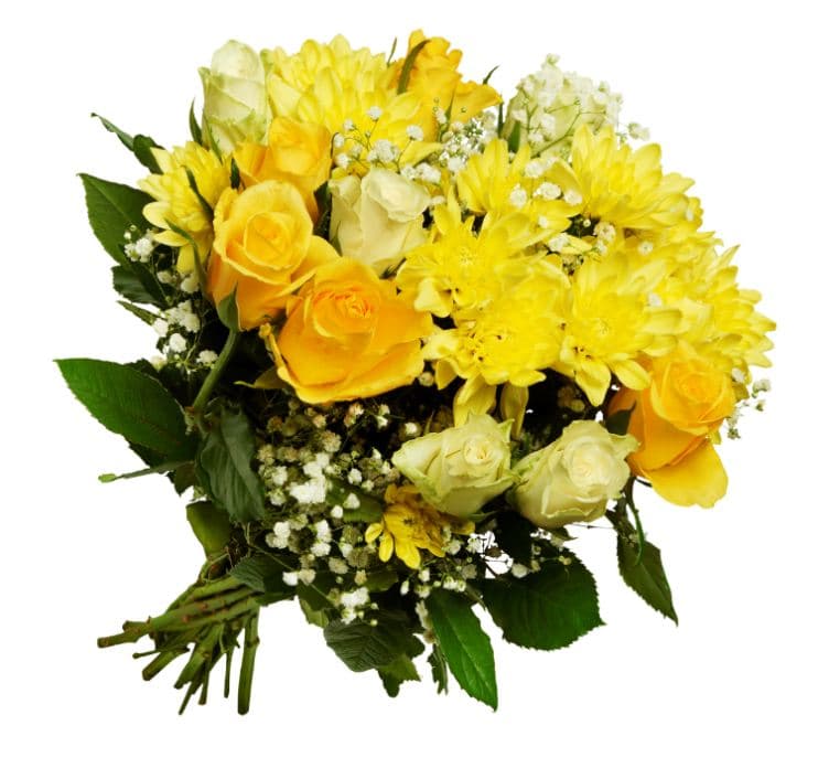 Helgebukett Roser Chrysanthemum Brudeslør