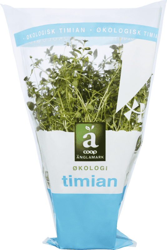 Krydderurt 8cm Timian Änglamark