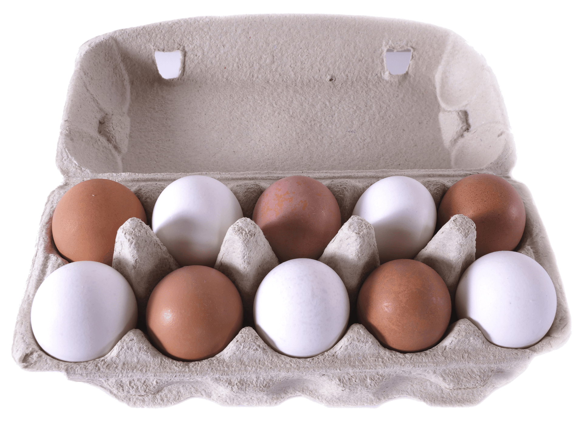 Bakketun Egg 10pk 673g