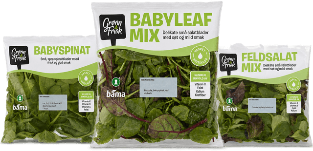 Babyleaf mix, ruccula, feldsalat mix, babyspinat