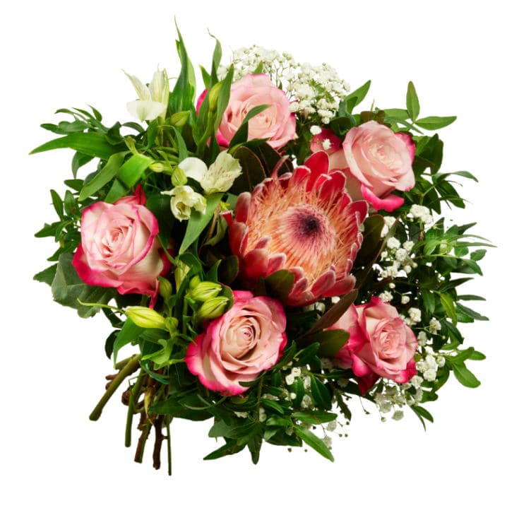 Gavebukett Protea Håndbundet Blomstermiks Bama 1 stk