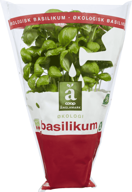Änglamark Krydderurt 8cm Basilikum