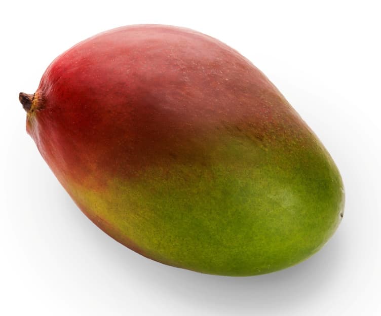 Mango Umoden stk