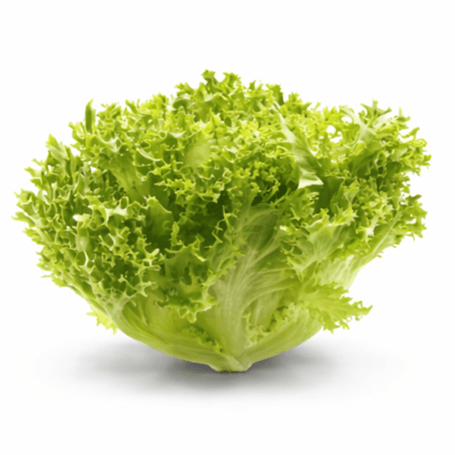 Crispi Salat stk