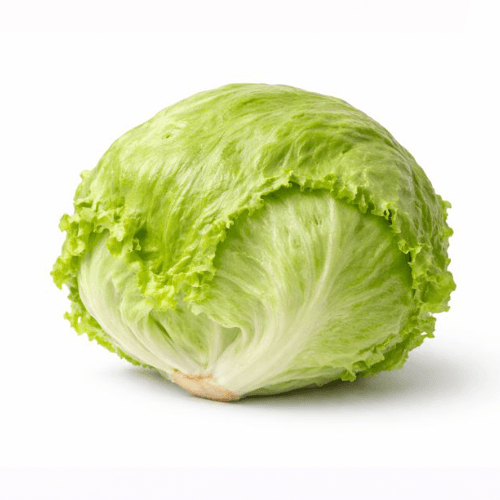 Isbergsalat Økologisk stk 1 stk